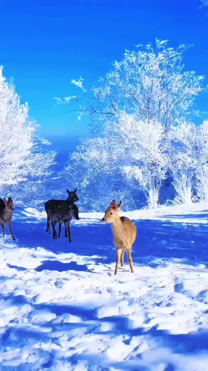 @beautifulplaces022