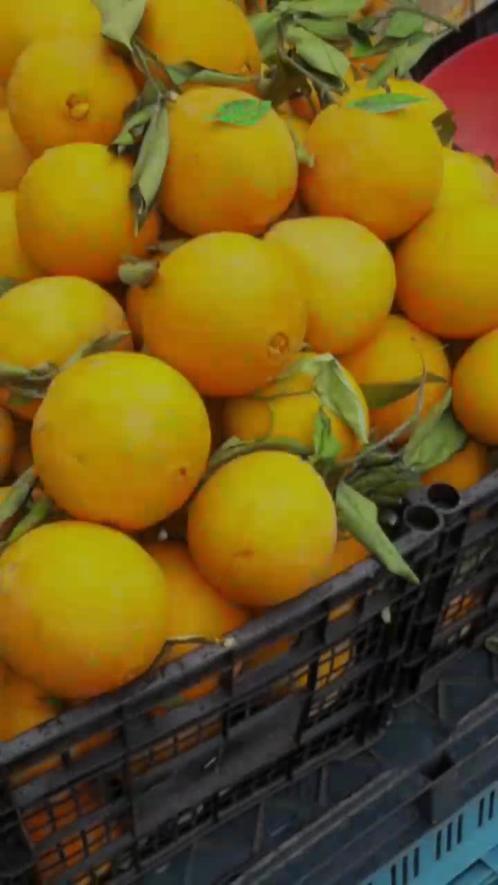 @Mariano 1589