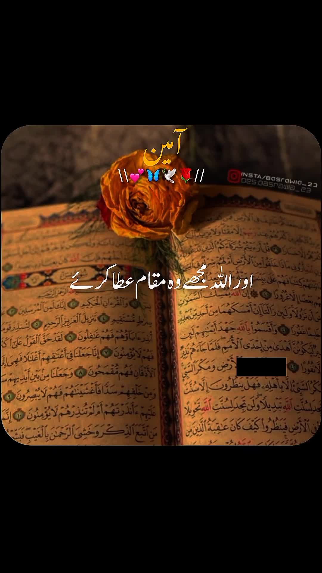 @✨dilawar edits✨
