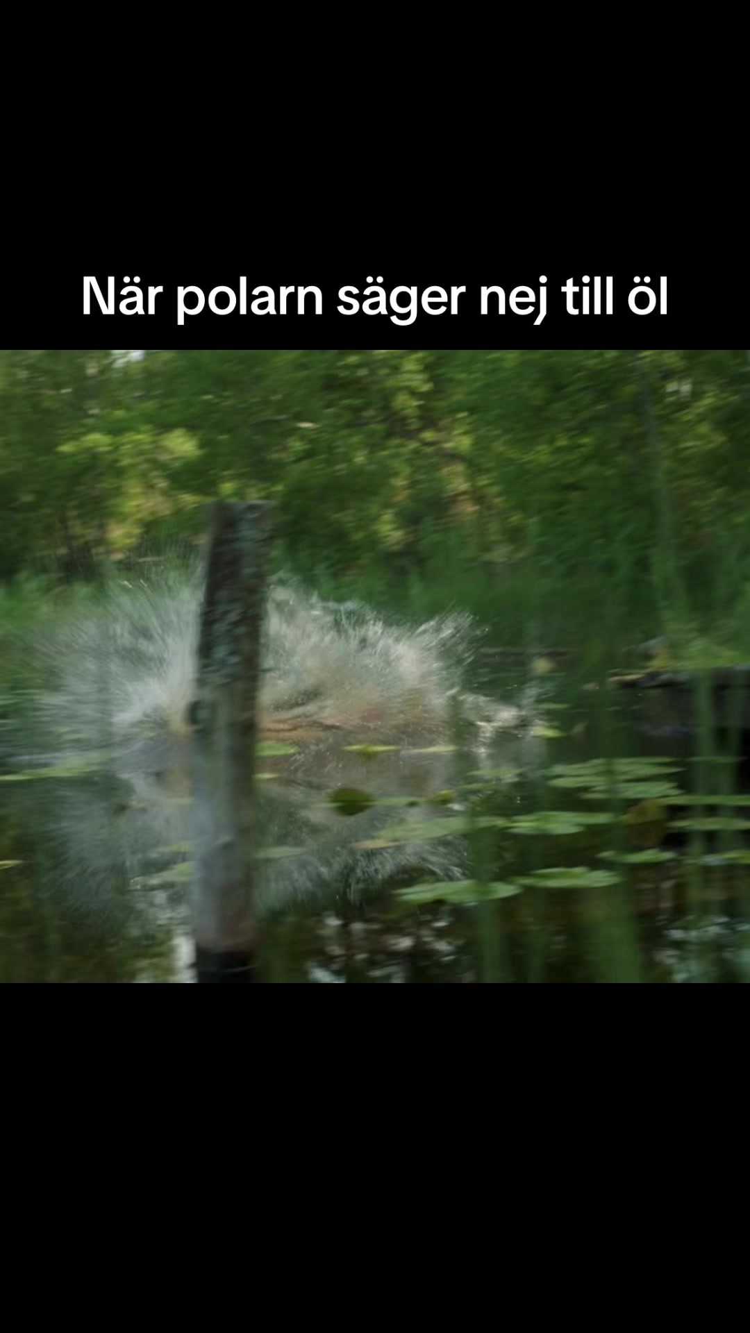 @görgoa