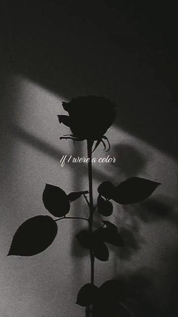 @🌙𝔏𝔲𝔫𝔞 V𝔢𝔦l 🖤 ☽◯☾✨️🪽