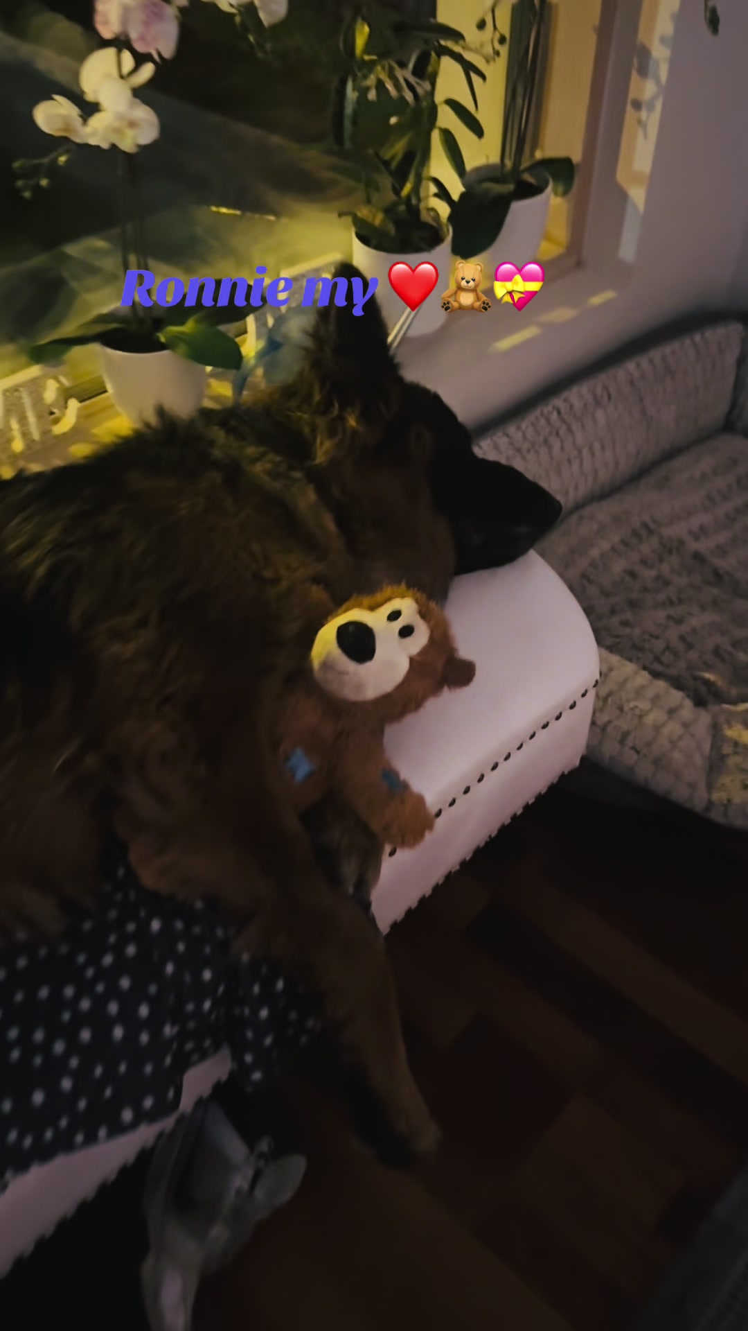 @Ronnie