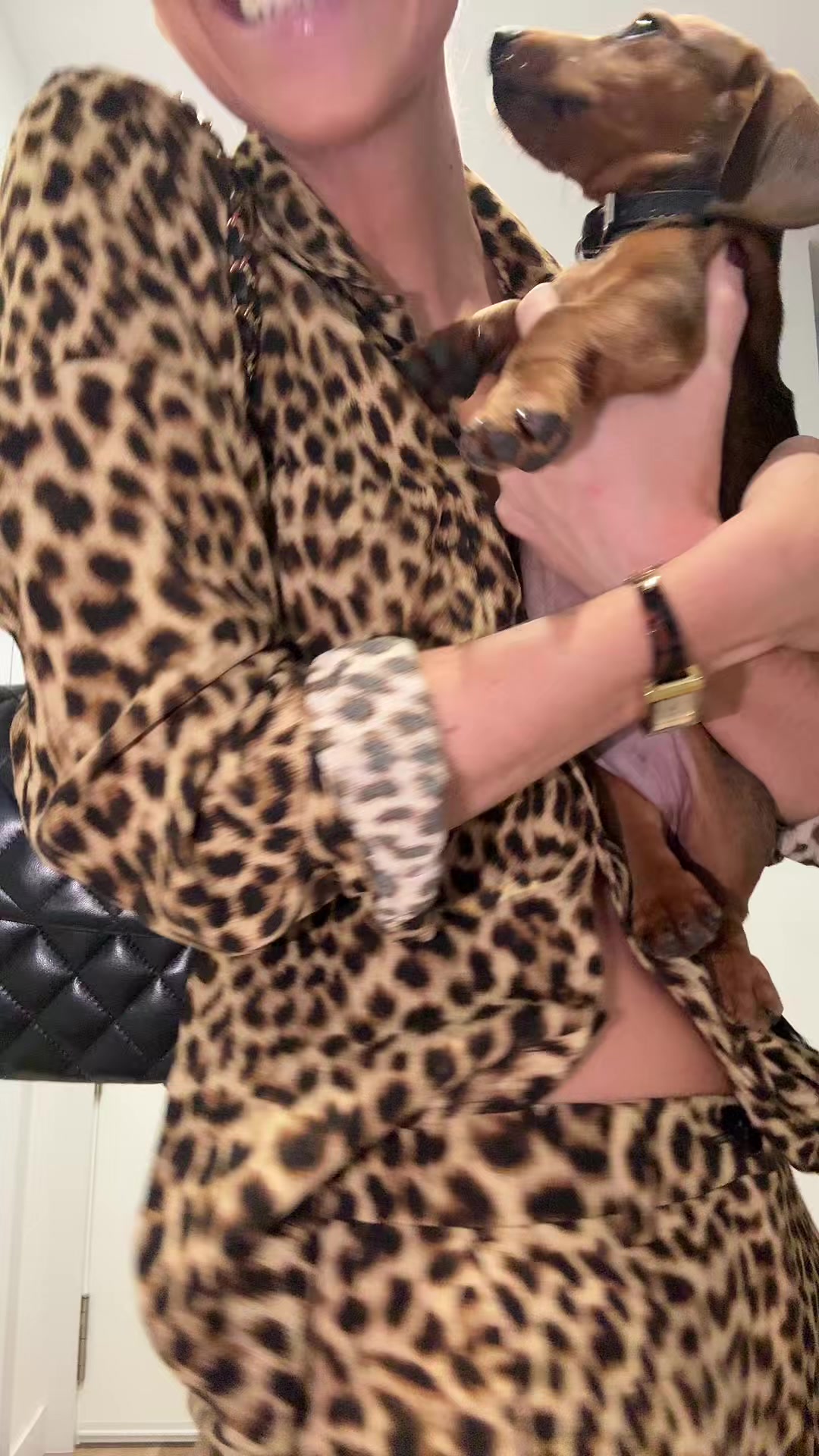 @aleebenitoo
