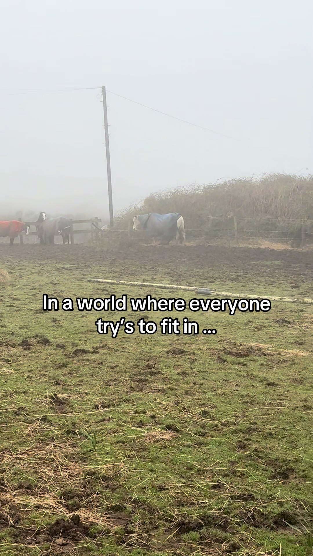 @sammie & Lila 🐴🌸