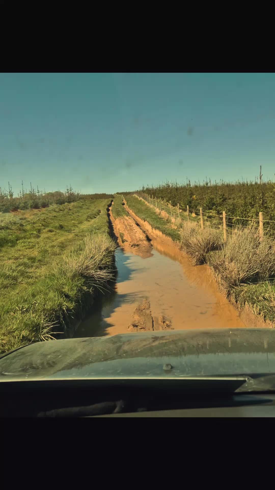 @slate and steel 4x4