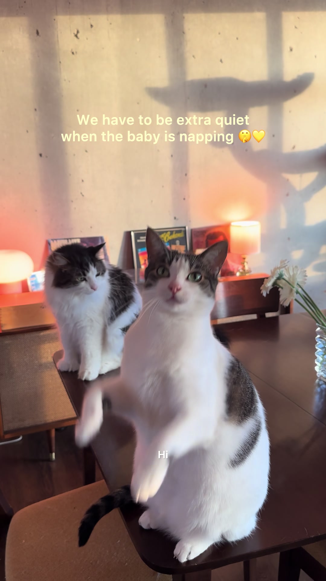 @Lil&rsquo; Ivy & Lux 🧚🌱🩵