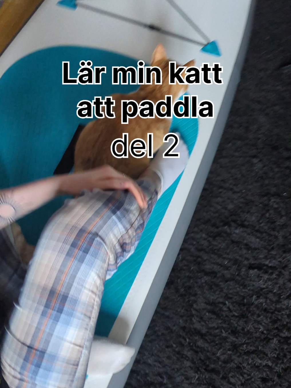 @Stridsvagnes