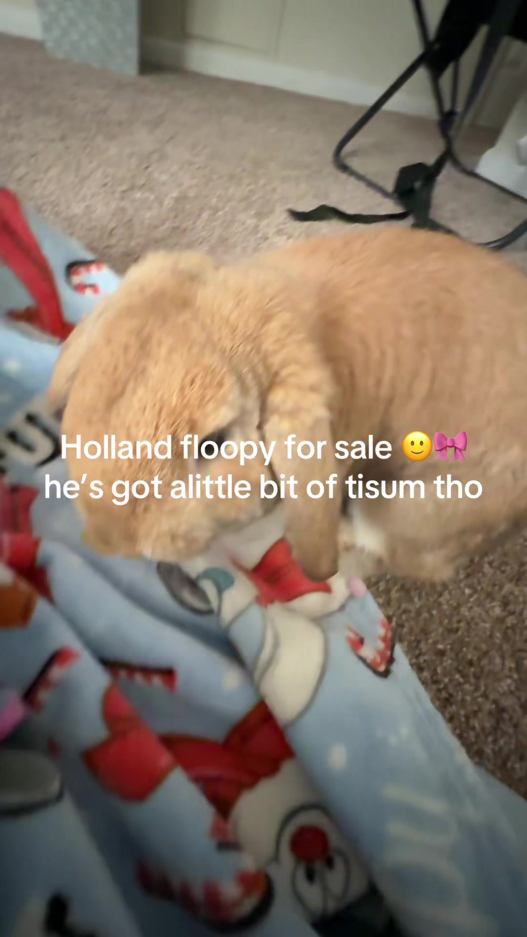 @Liiaa_feelzx🥰