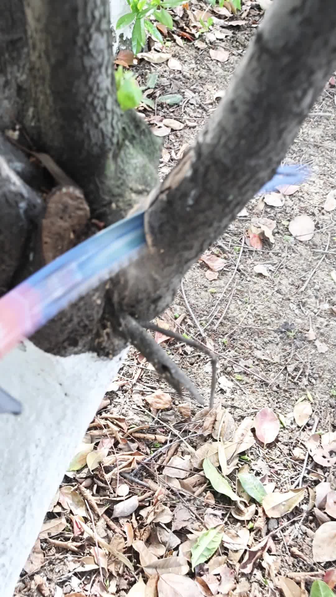 @Omni Tools