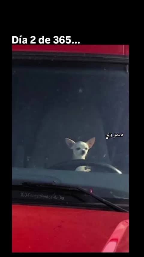 @ohana20_24