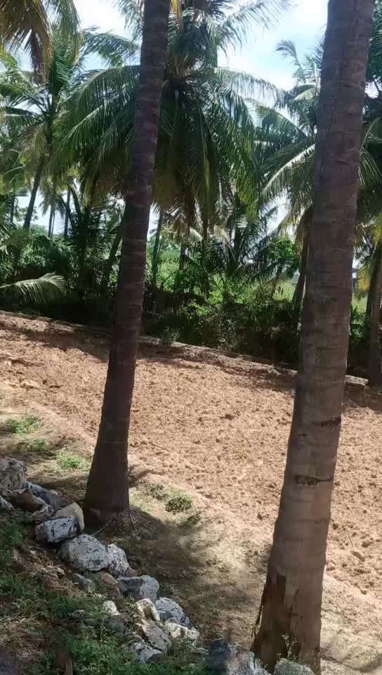 @@elakiya 12123