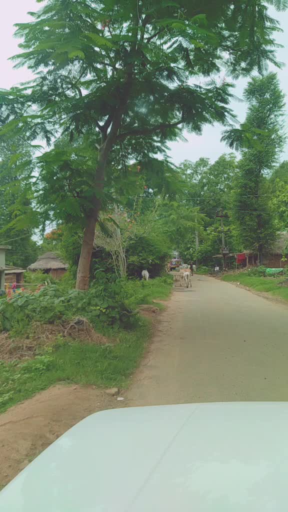 @Rakesh Liku