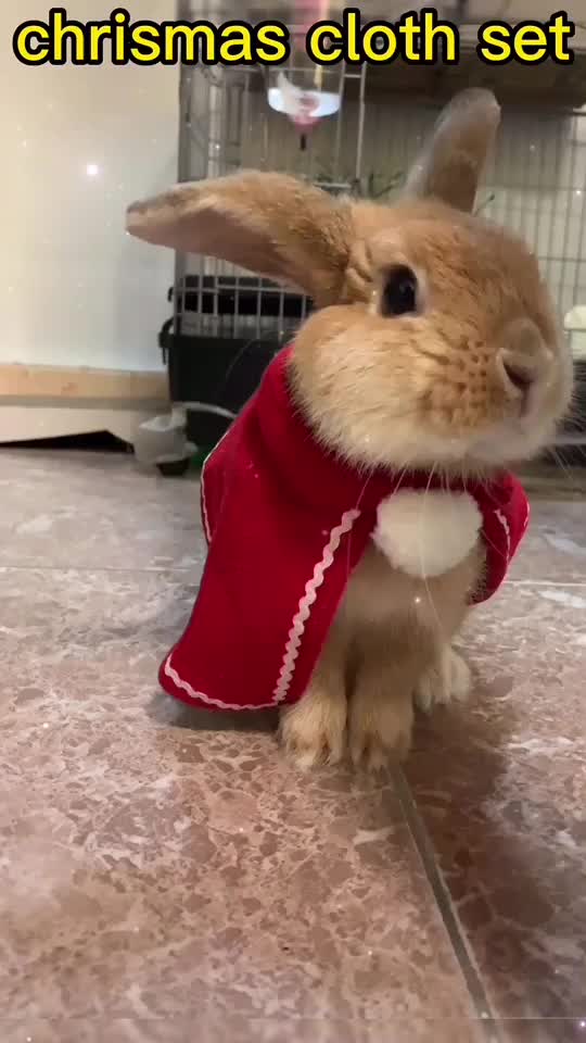 @OrangePlus77