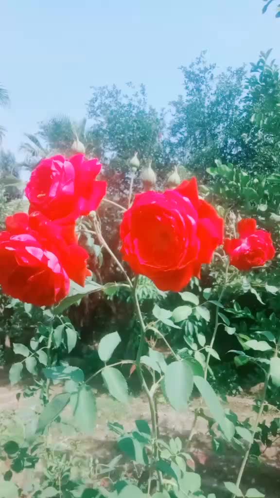 @Sabir Ali
