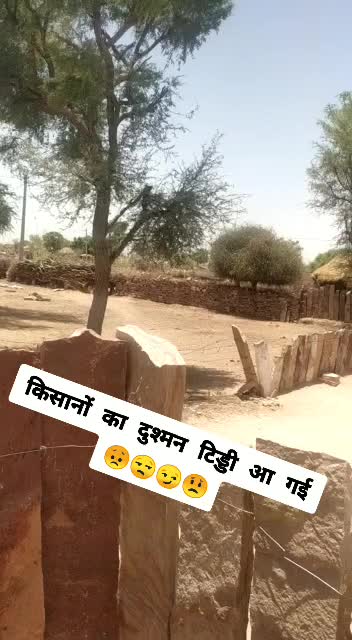 @MuleshChoudhary