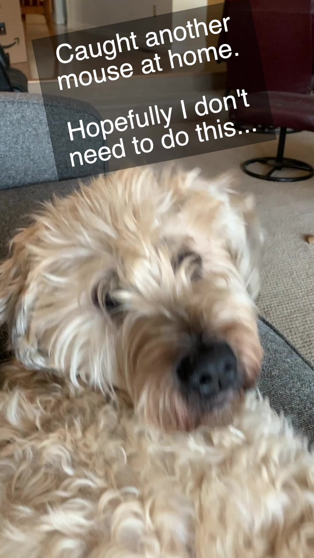 @tiktok