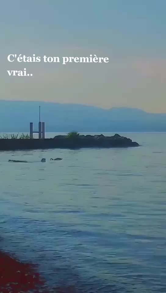 @🦕🦕🦕