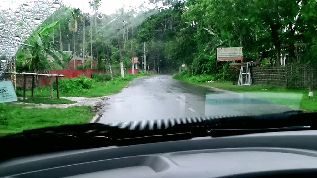 @Tridisha Baruah