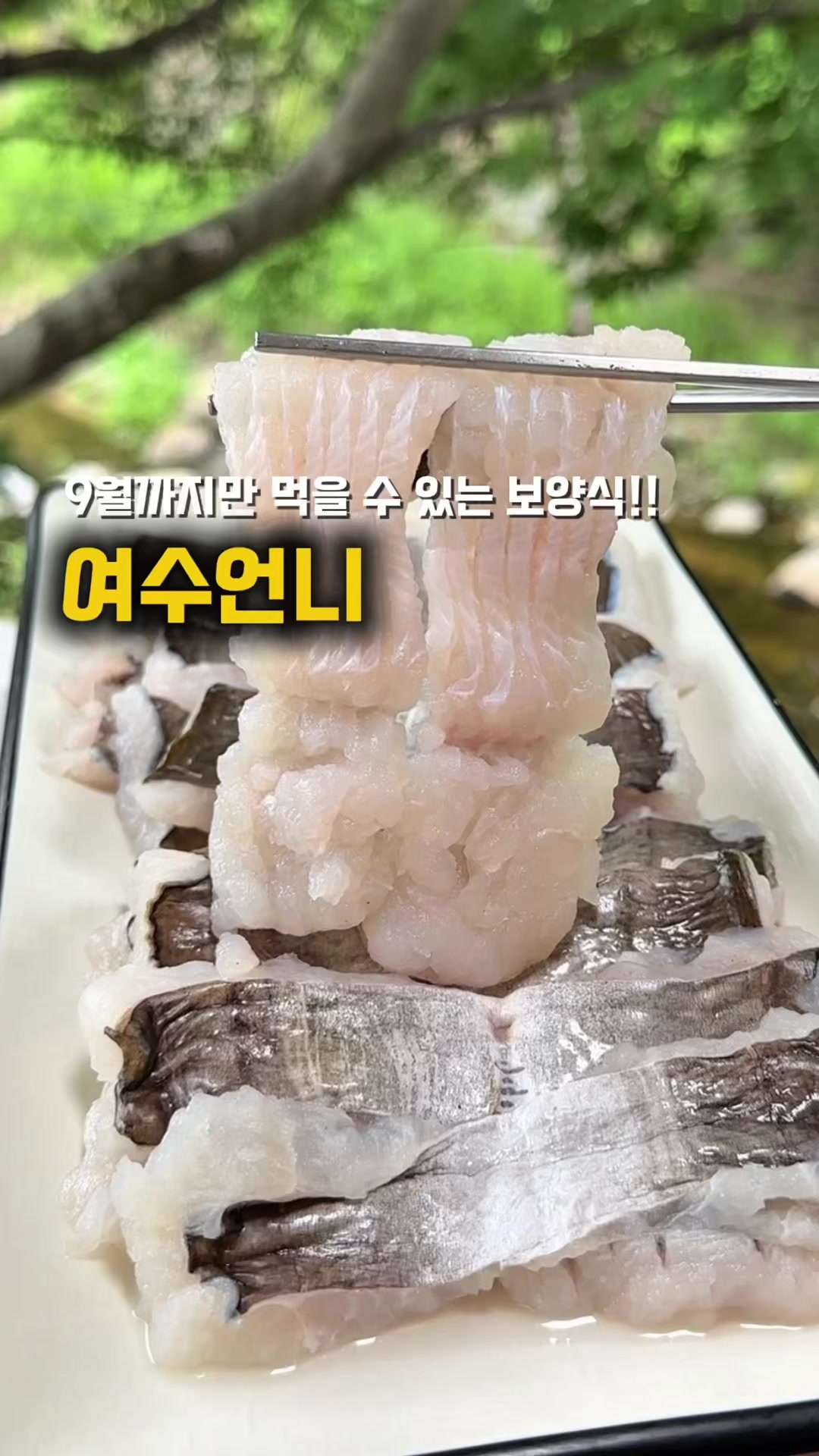 @jjongrrr
