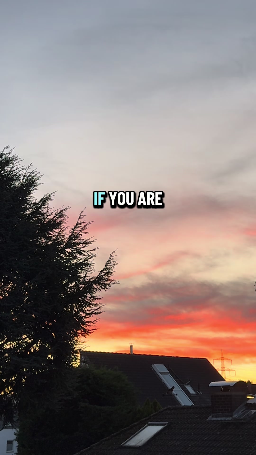 @Adriana🤍🕊️
