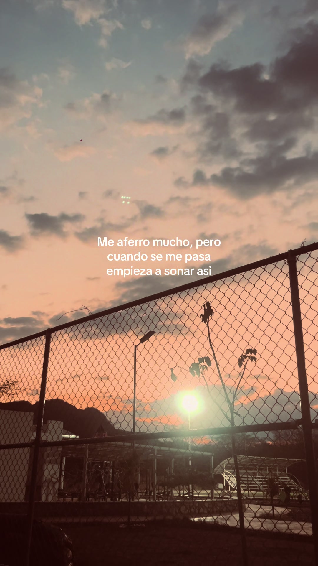 @Y ü r ë m 🕸️