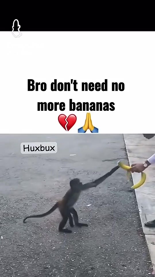@FOLLOW4FOLLOW