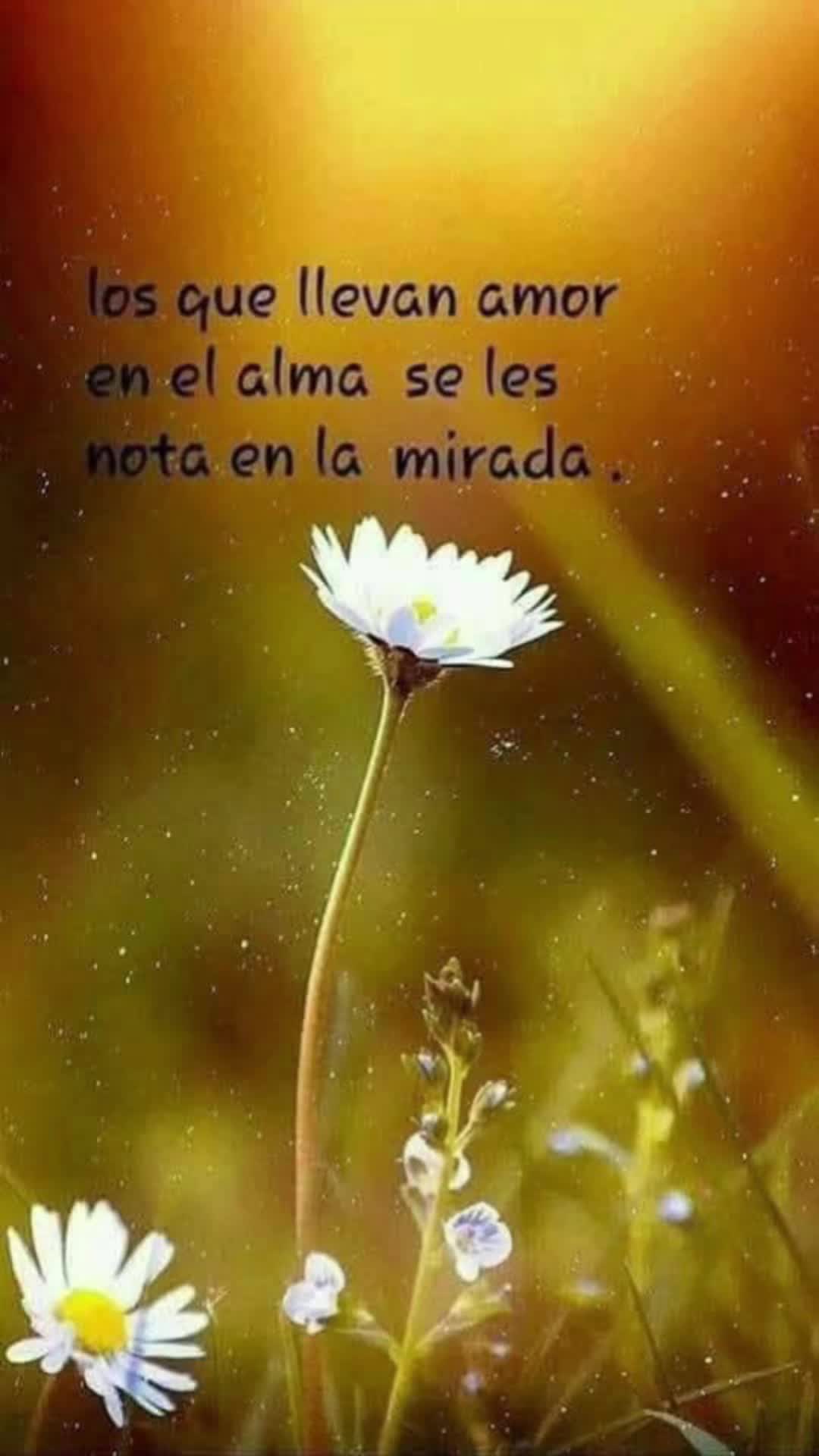 @💜Cris💜