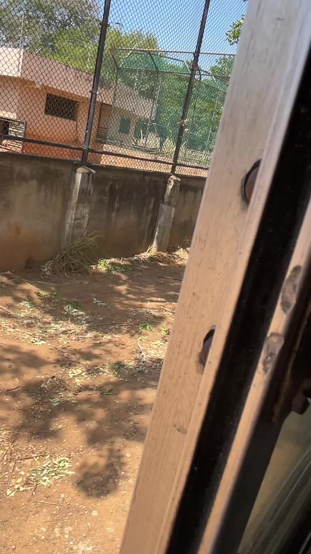 @Beast Travels
