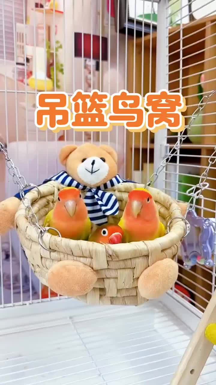 @chinabirds47