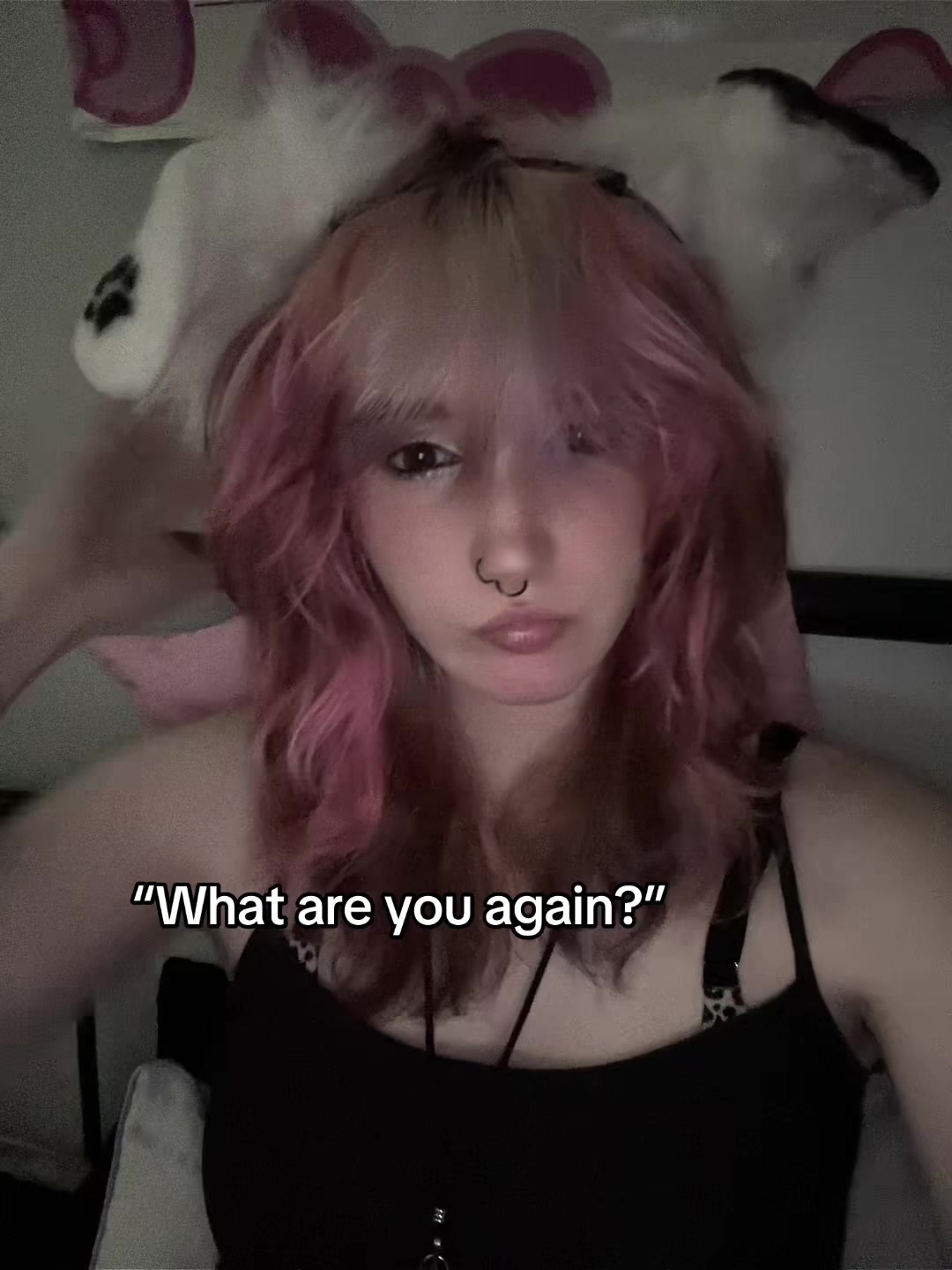 @⋆🐾° ʟᴇᴏɴ >⩊<