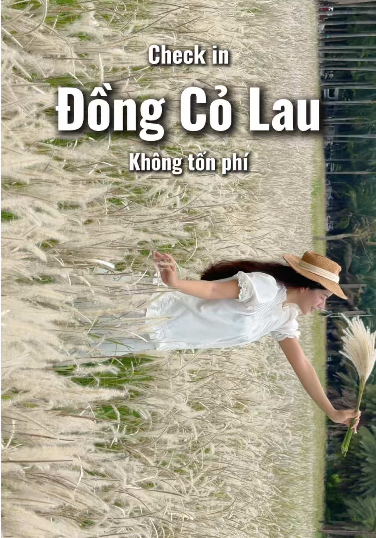 @thao leader