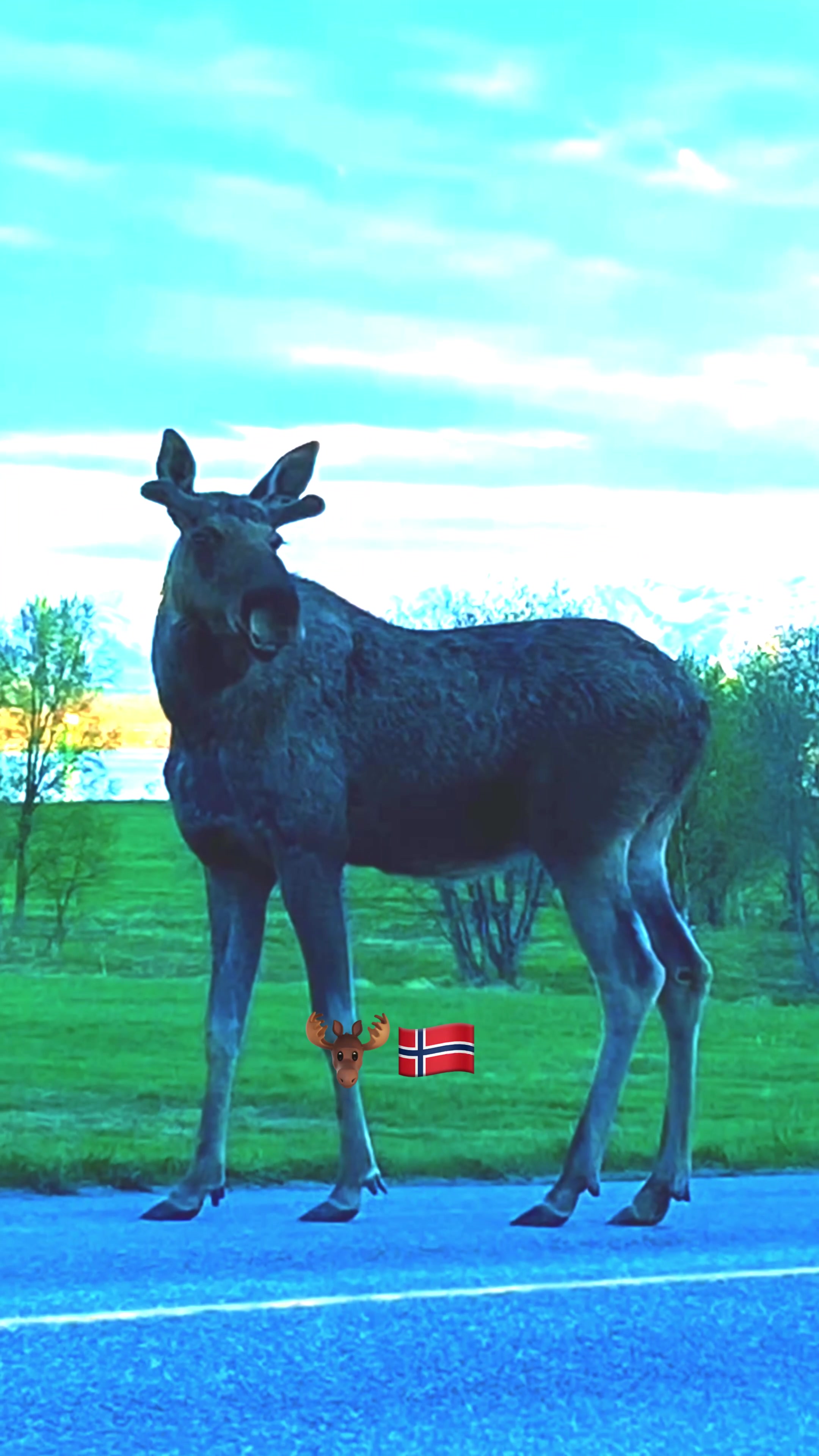 @Norway the Paradise