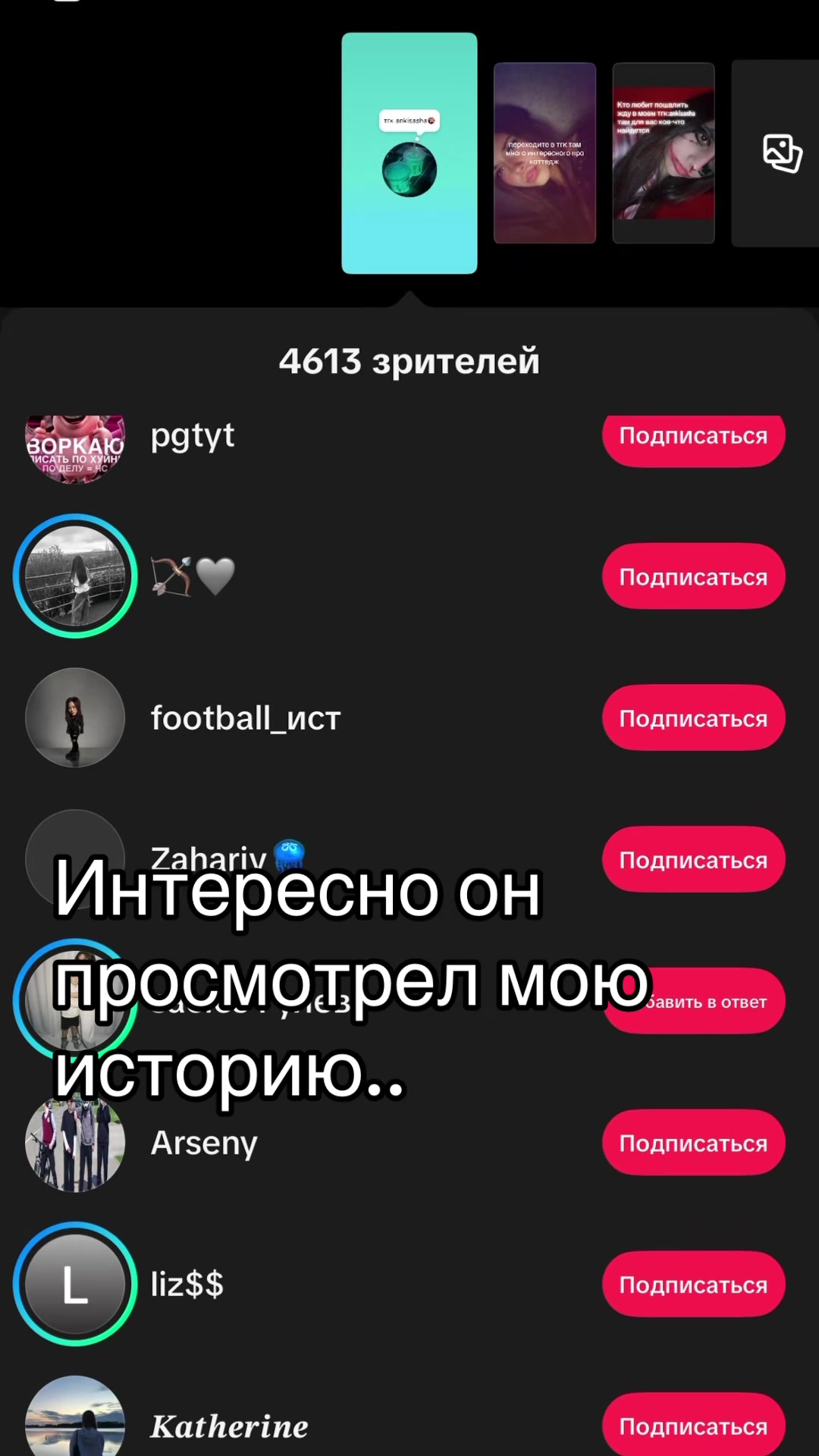 @казанская пантера