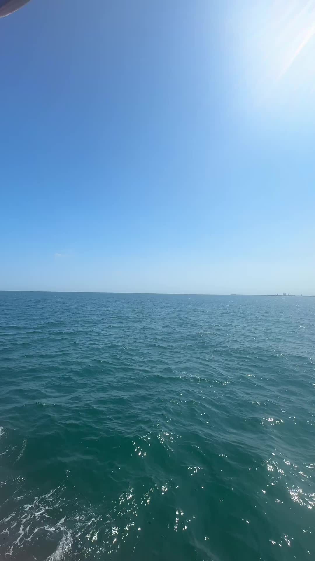 @Leo.nard