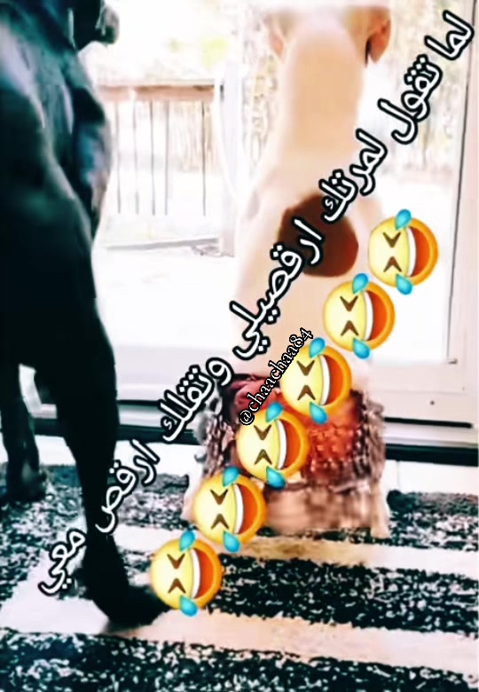 @عائشة والأنغام 🇫🇷🇲🇦