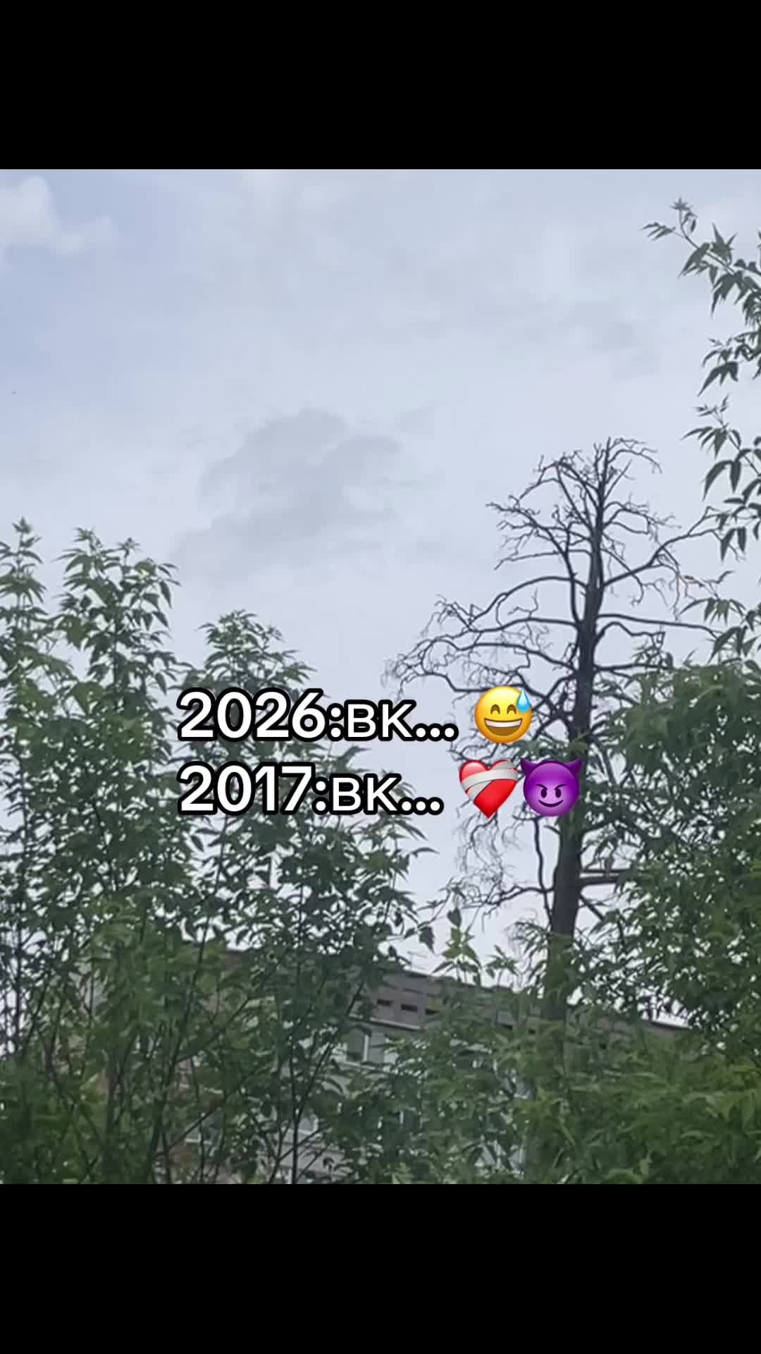 @тгк:temyych_📱_