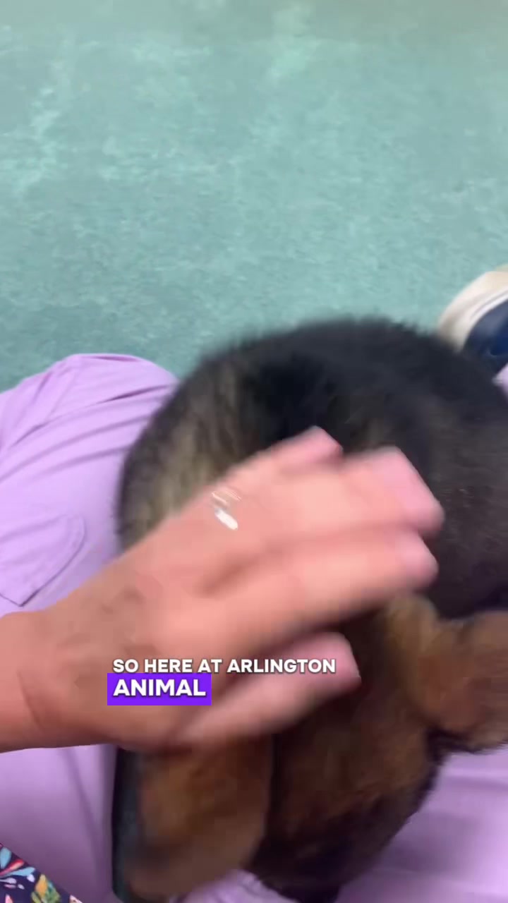 @ArlingtonAnimalHospitalsk