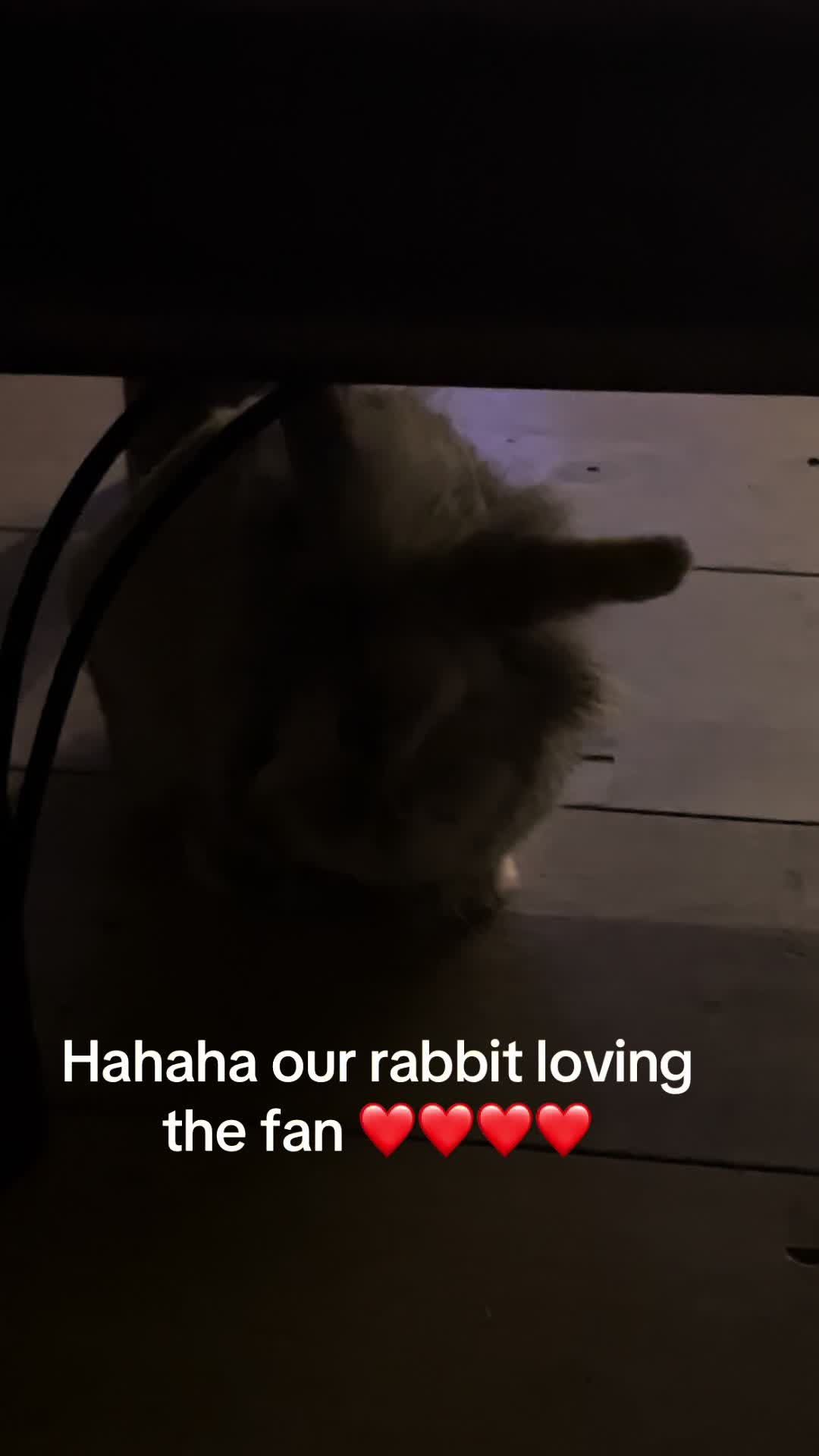 @Sarah_bright_eyes