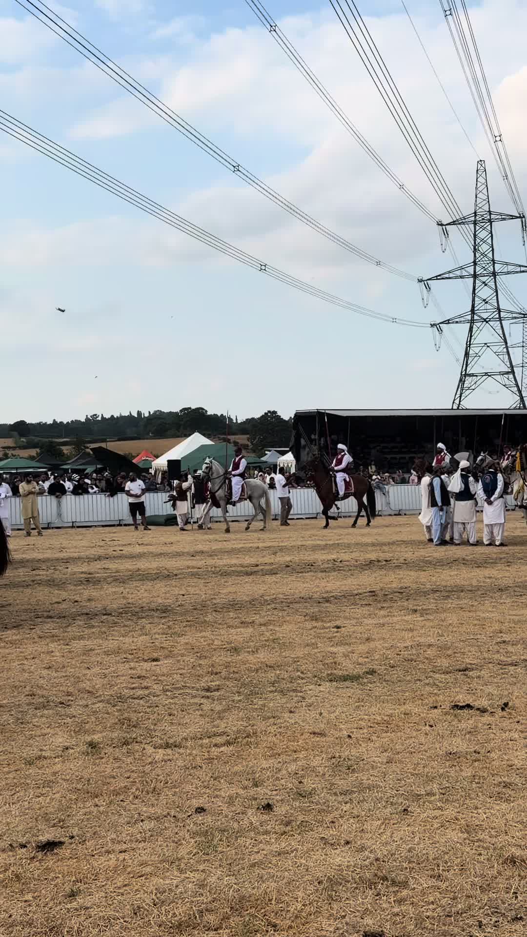 @Slough horses
