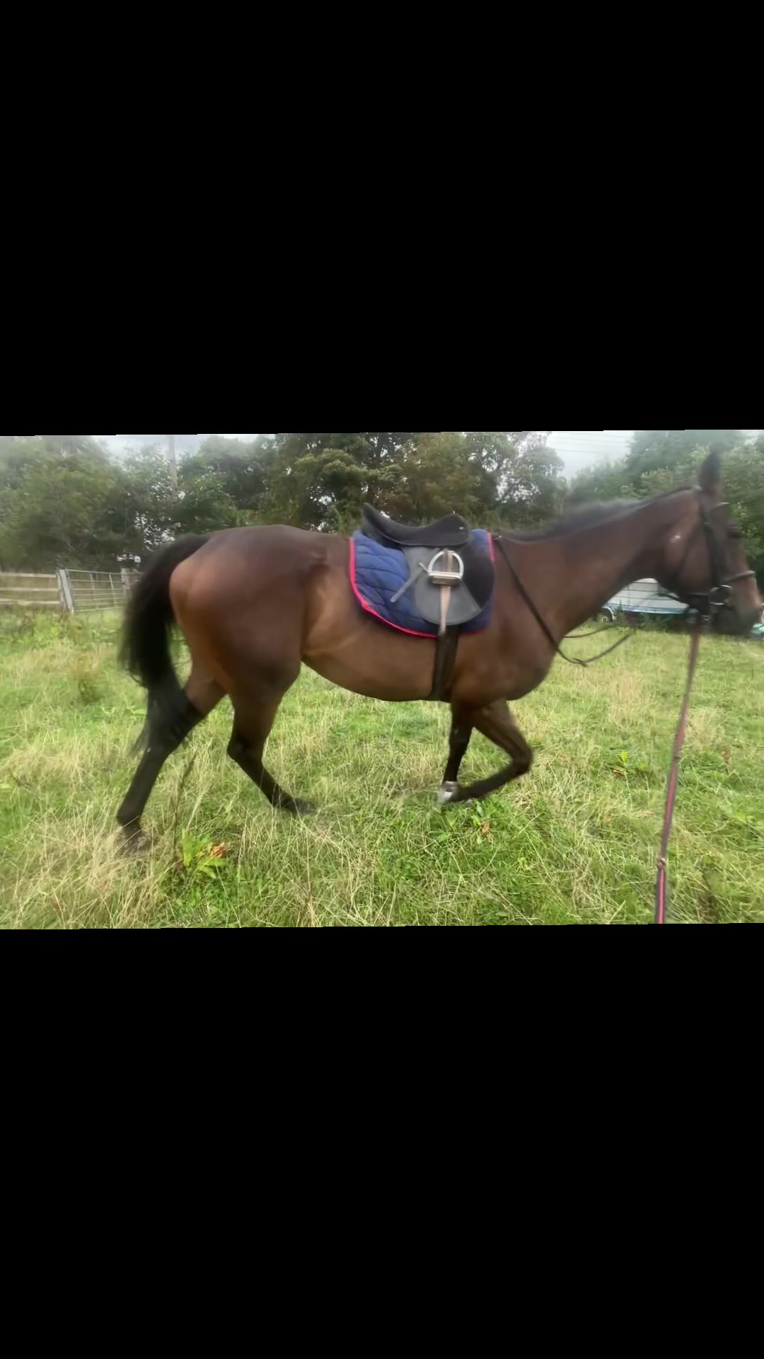 @Helena🪷⚜️