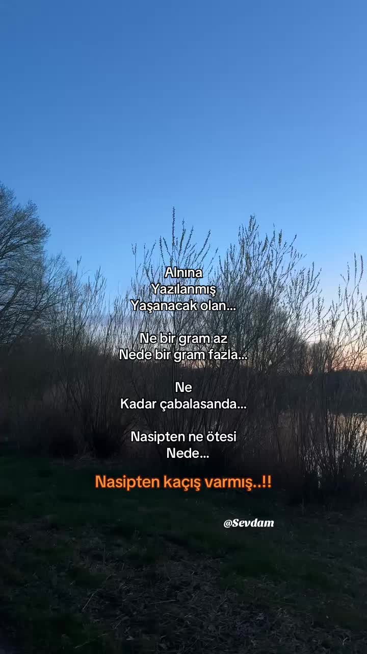@Sevdam