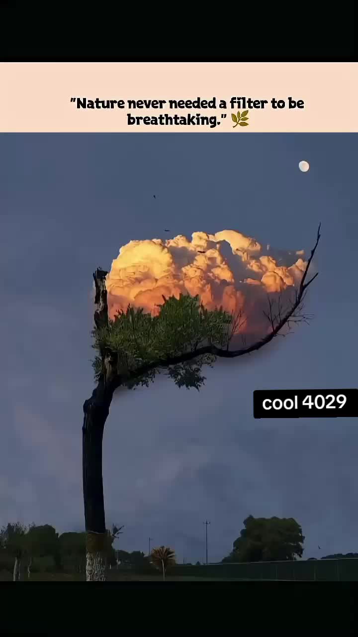 @Cool