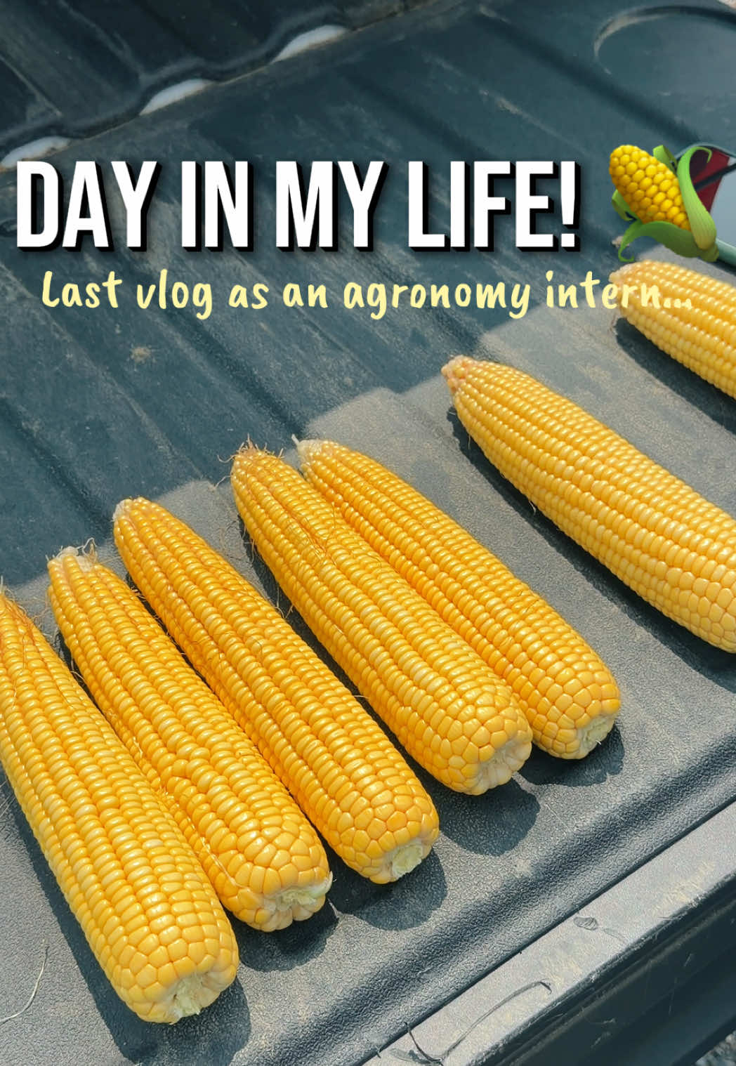 @JENNA 🌽