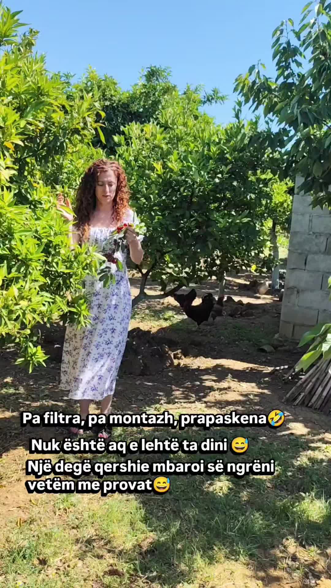 @Sofra__ime