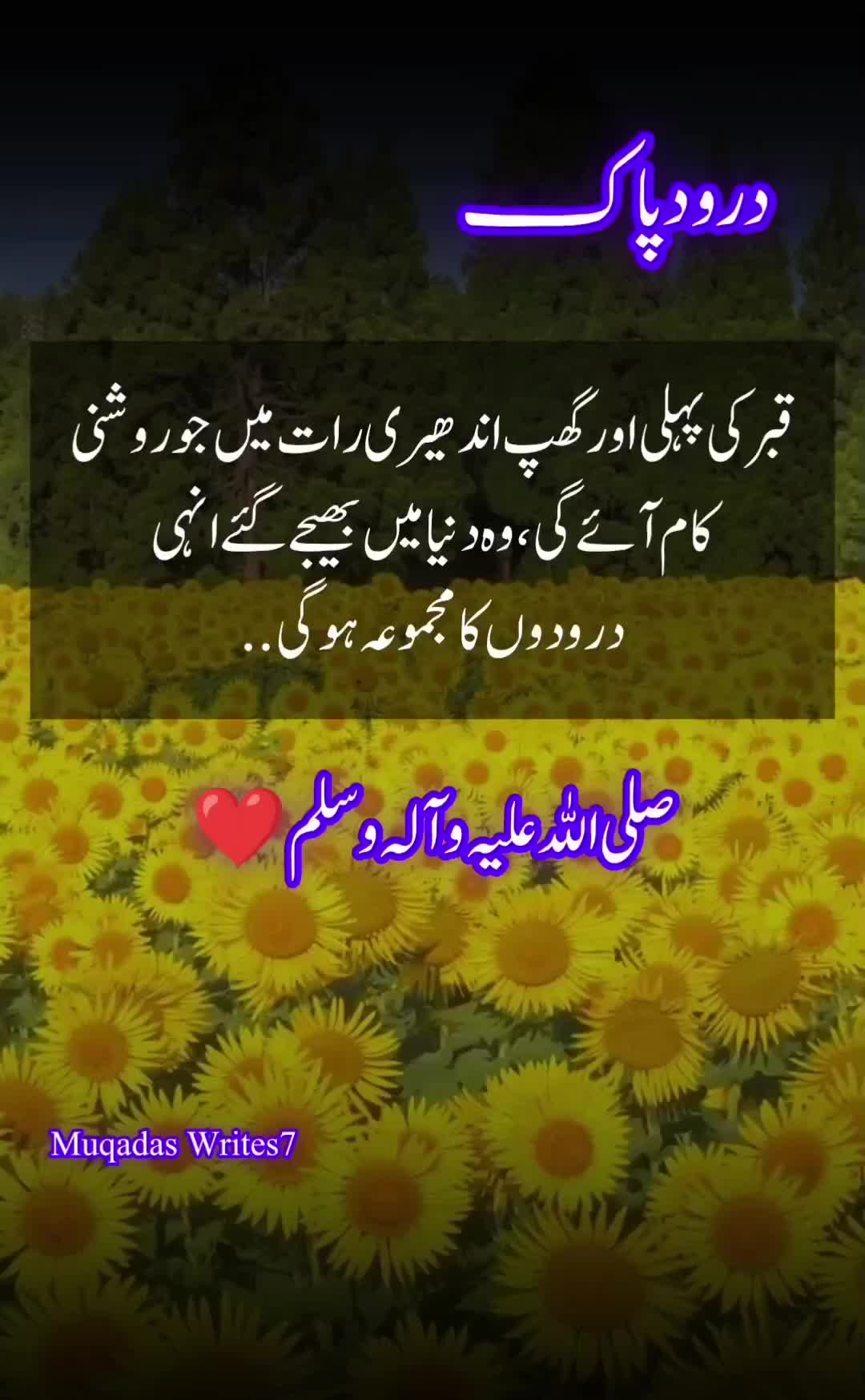 @Muqadas Writes