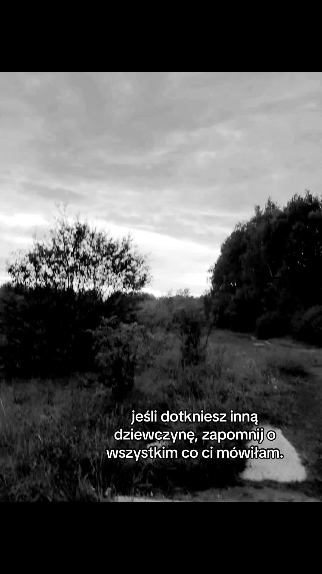 @vvrtves