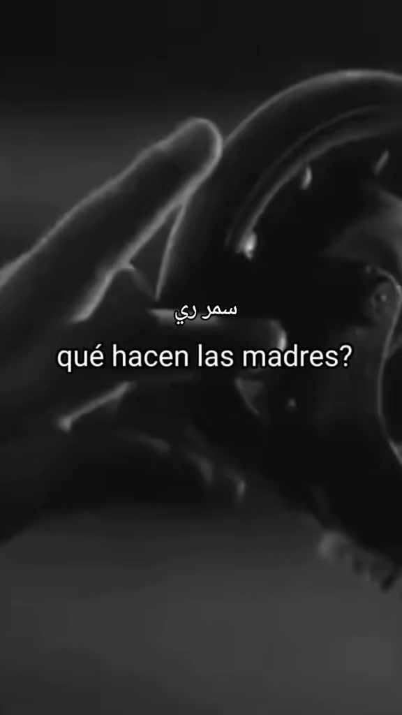 @ohana20_24