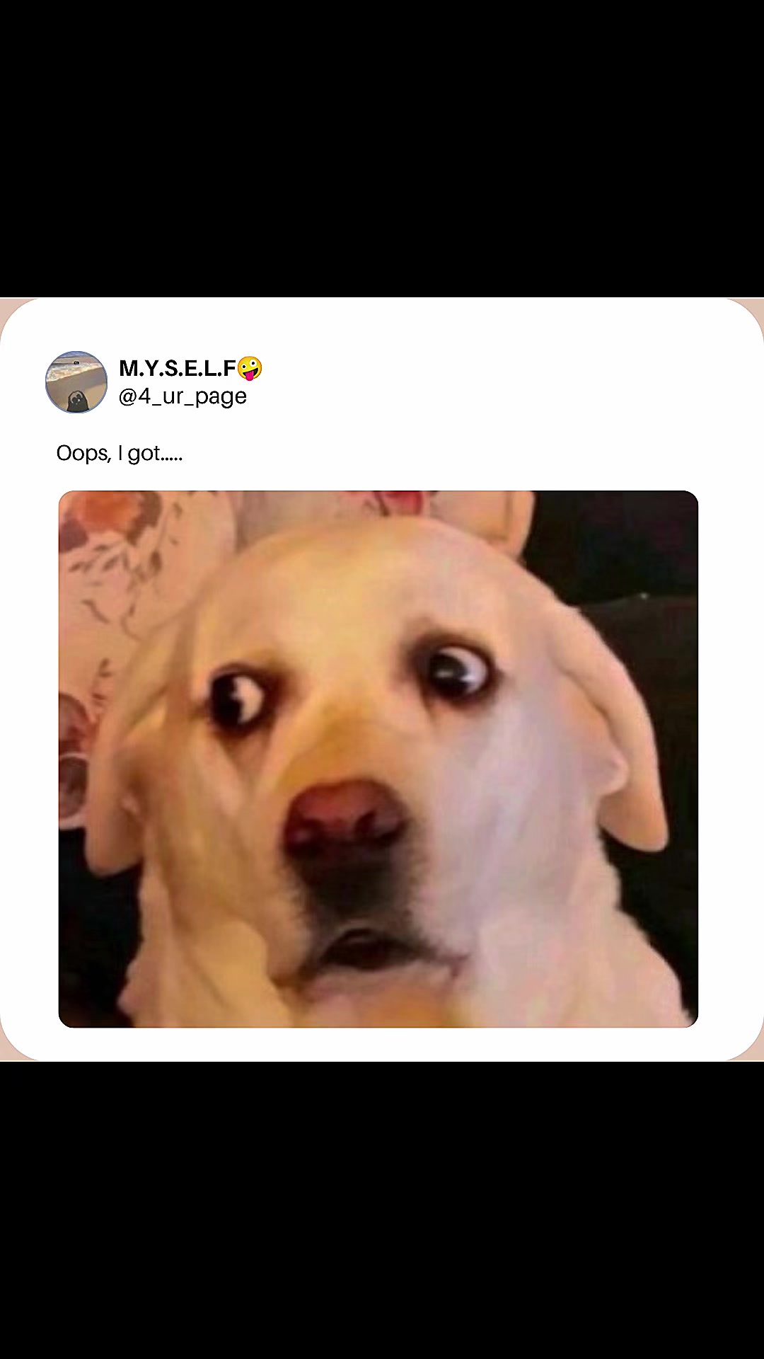 @M.Y.S.E.L.F🤪