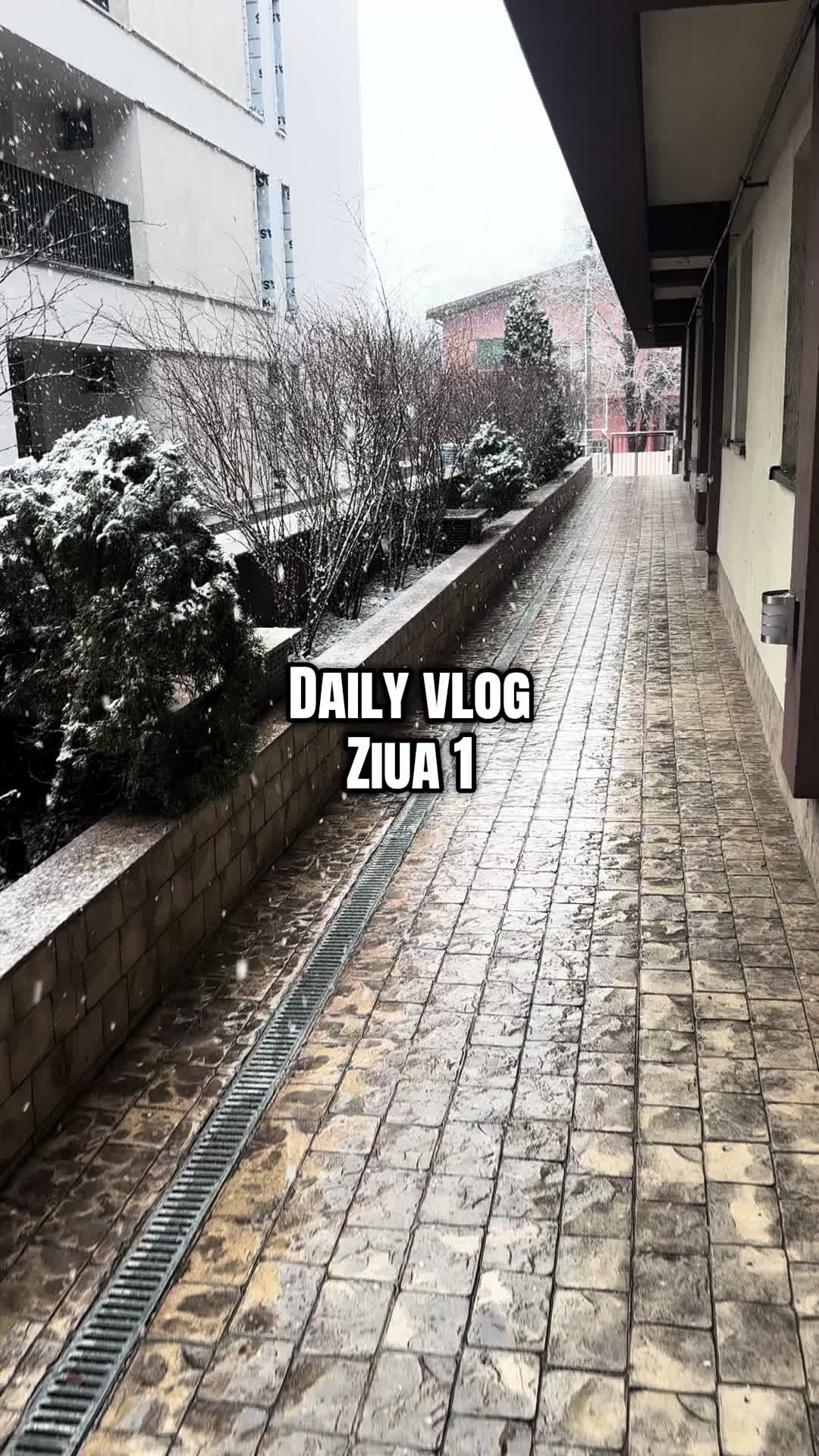 @Kevinfrizerul