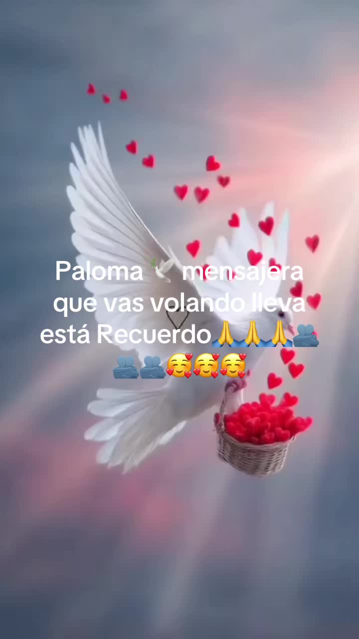 @Mar&iacute;a&ensp;pilliza